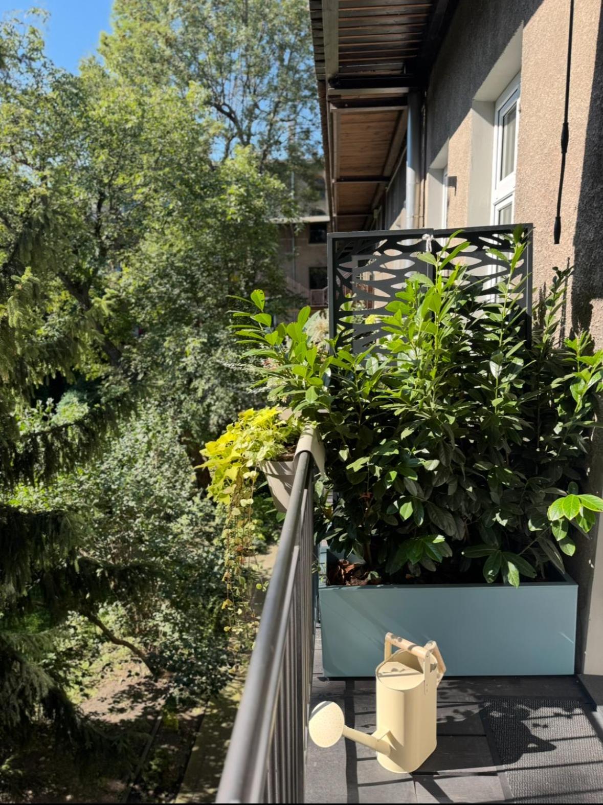 Two-Bedroom Deluxe Apartment Balcony